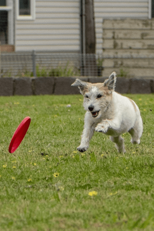 It’s made such an incredible difference in such a short time