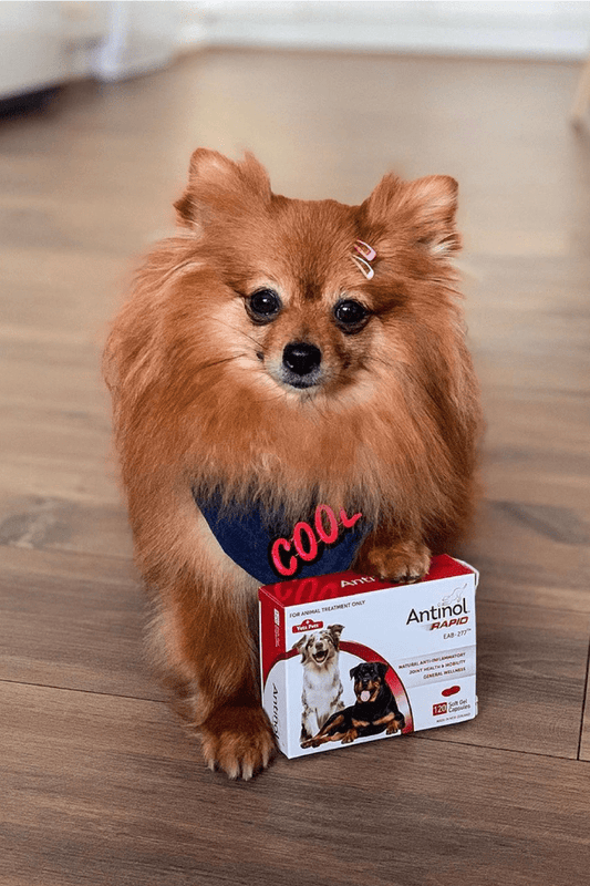 A very impressed dog mum