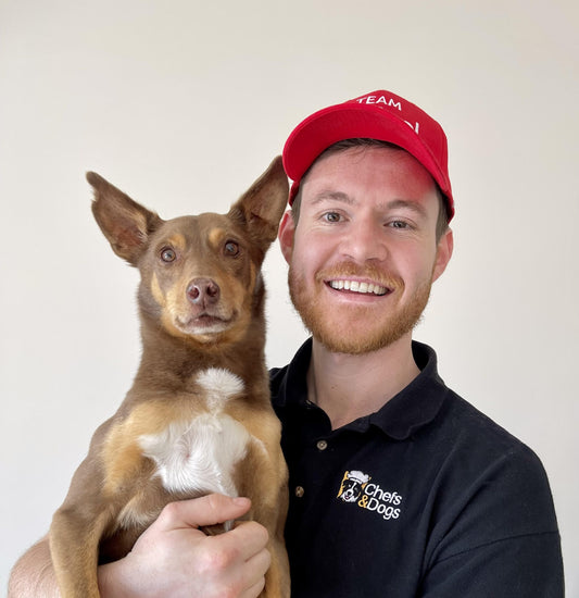 antinol man and dog