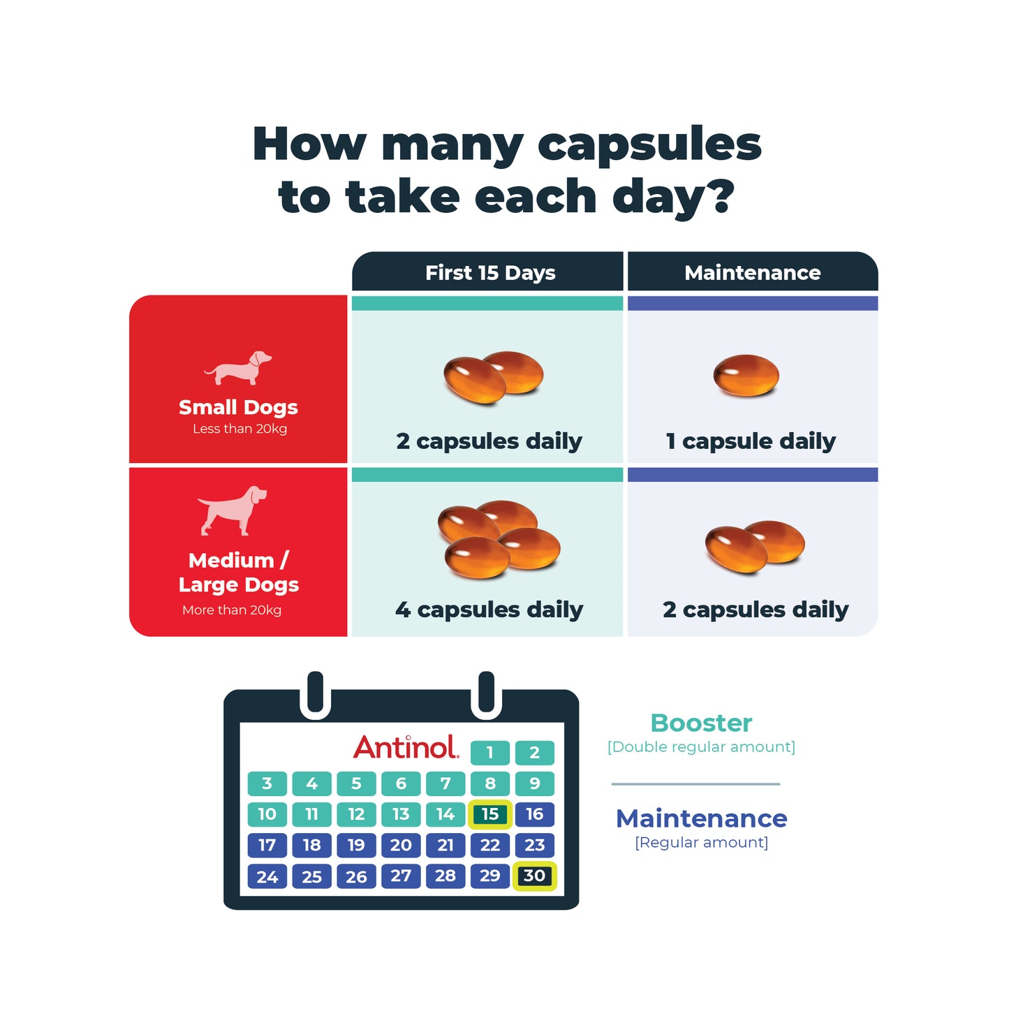 Antinol 60-day Starter Pack – Large Dog