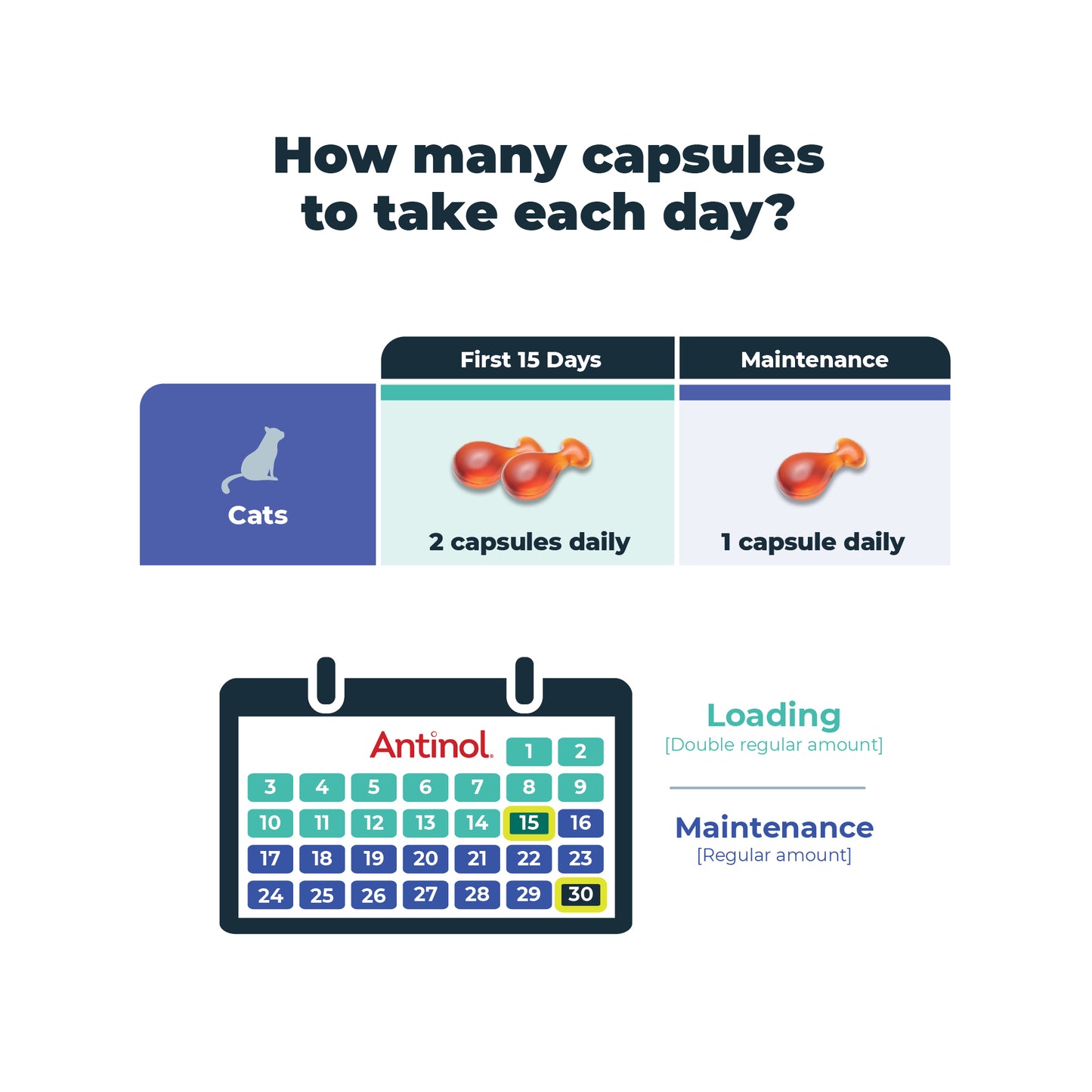 Antinol 60-day Starter Pack – Cat - Easy-Feed Capsules