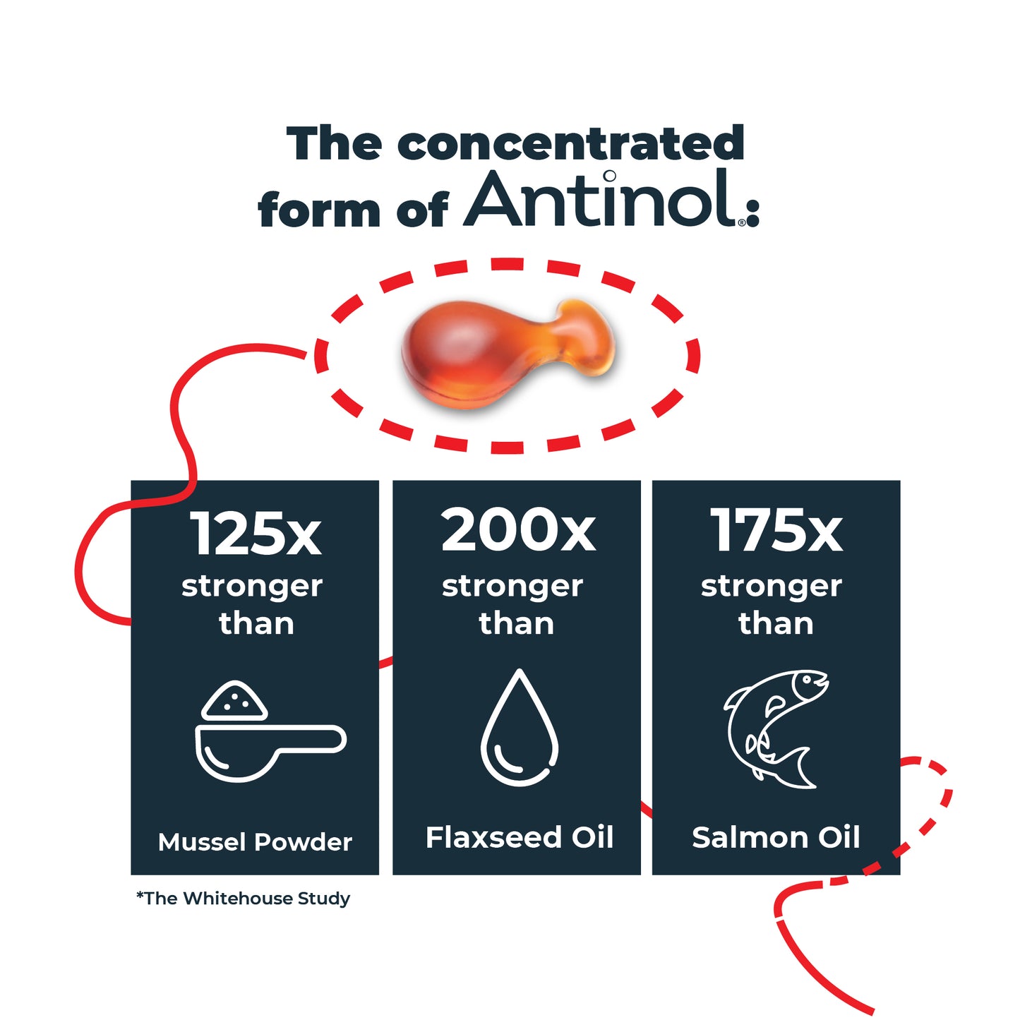 Antinol 60-day Starter Pack – Cat - Easy-Feed Capsules