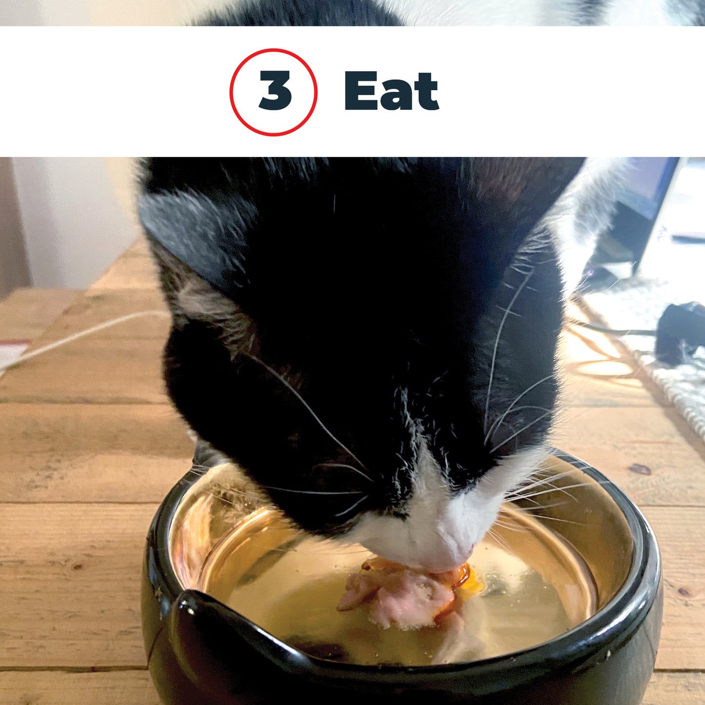 Antinol 60-day Starter Pack – Cat - Easy-Feed Capsules