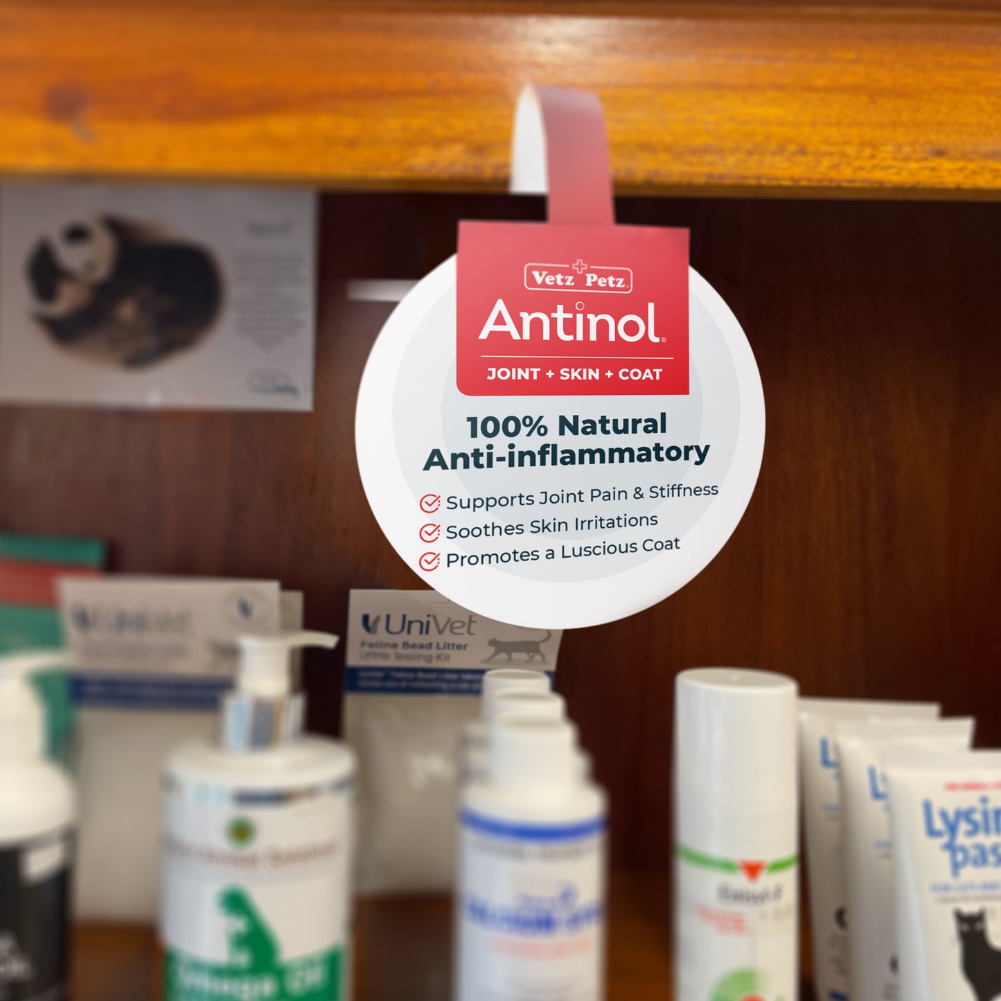 New Partner Launch Kit