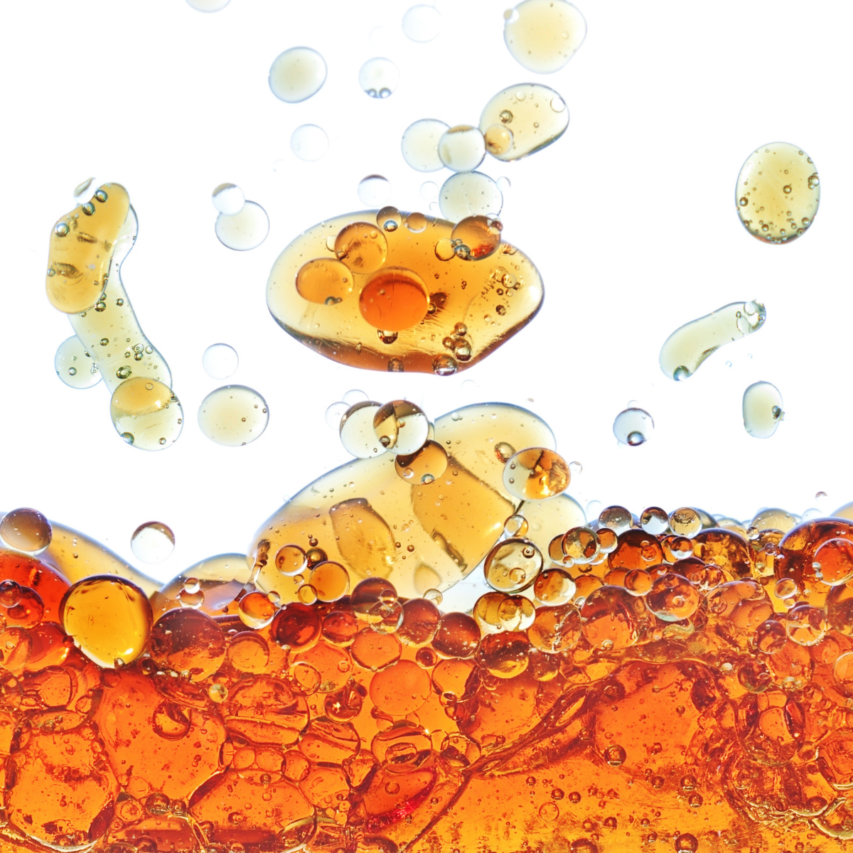 Better Fats, Better Dogs Omegas for Dogs Antinol® Blog Antinol