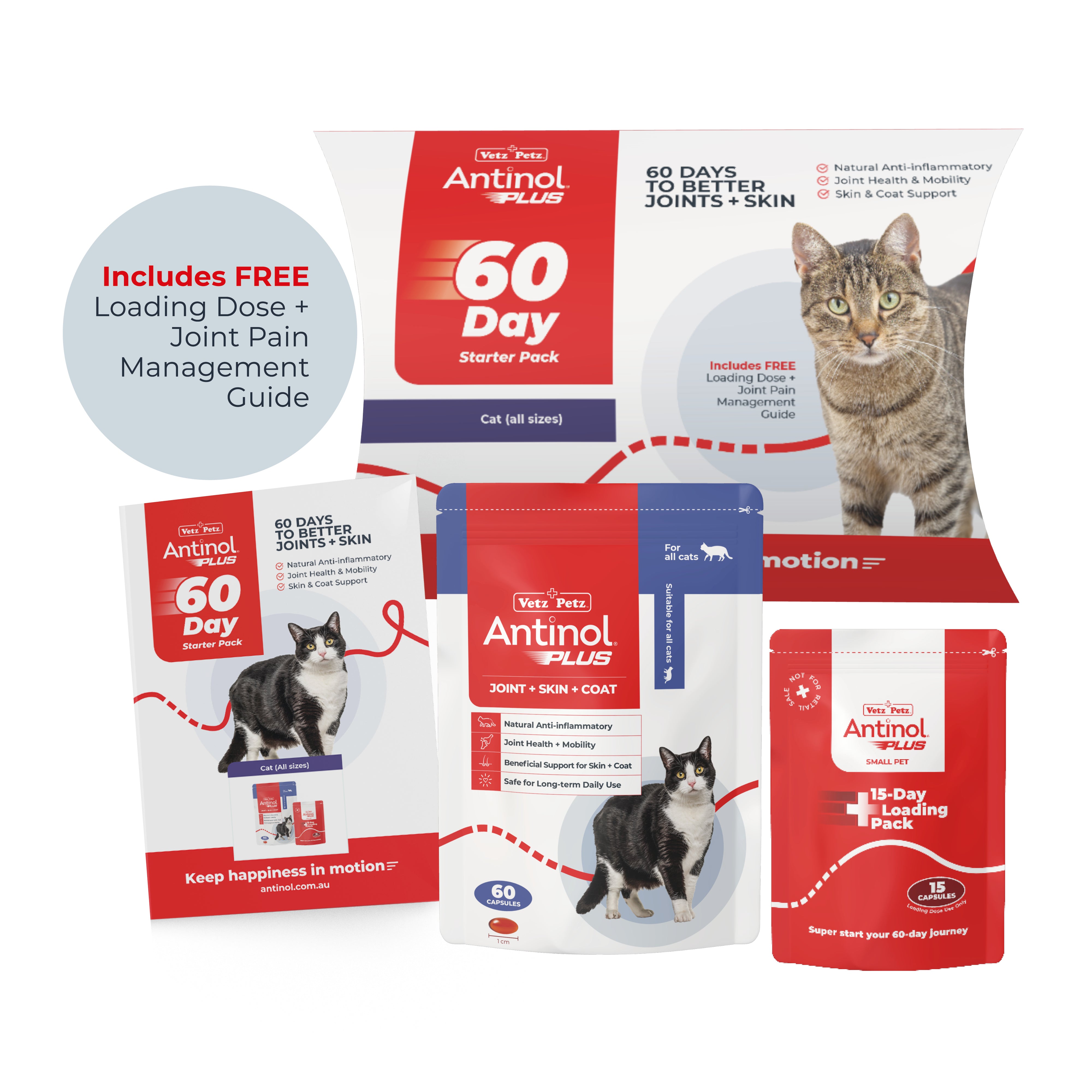 Antinol 60 day Starter Pack Cat Antinol Australia