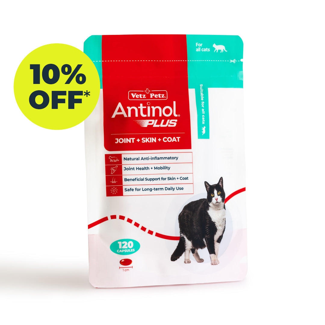 Antinol<sup>®</sup>️ Plus for Cats - 10% Off Subscription