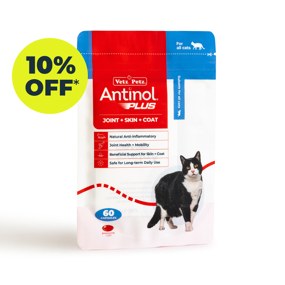Antinol<sup>®</sup>️ Plus for Cats - 10% Off Subscription