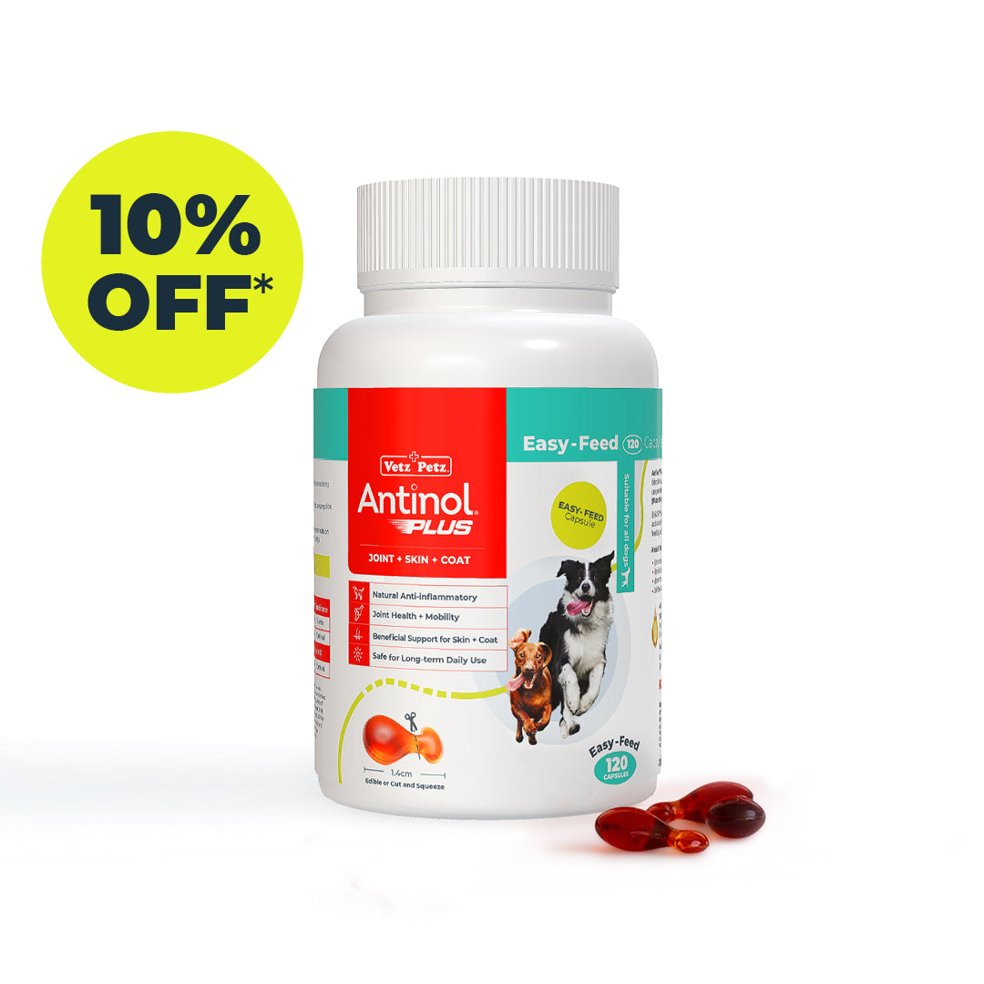 Antinol<sup>®</sup>️ Plus for Dogs - 10% off Subscription