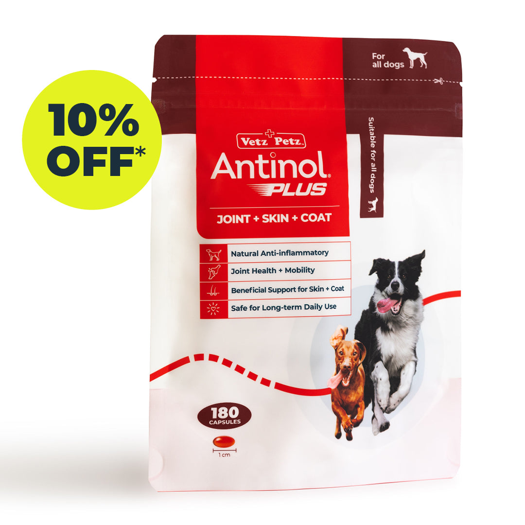 Antinol<sup>®</sup>️ Plus for Dogs - 10% off Subscription