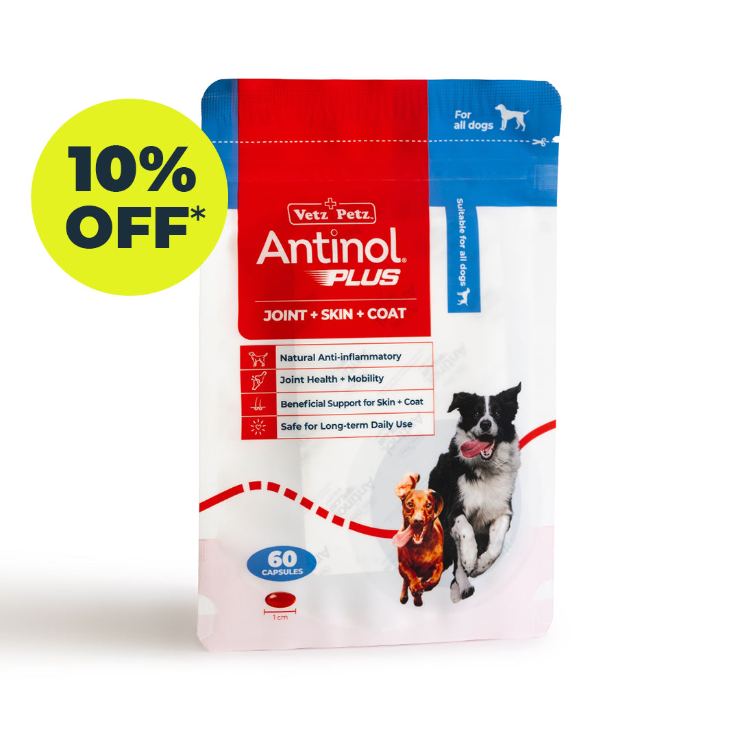 Antinol<sup>®</sup>️ Plus for Dogs - 10% off Subscription