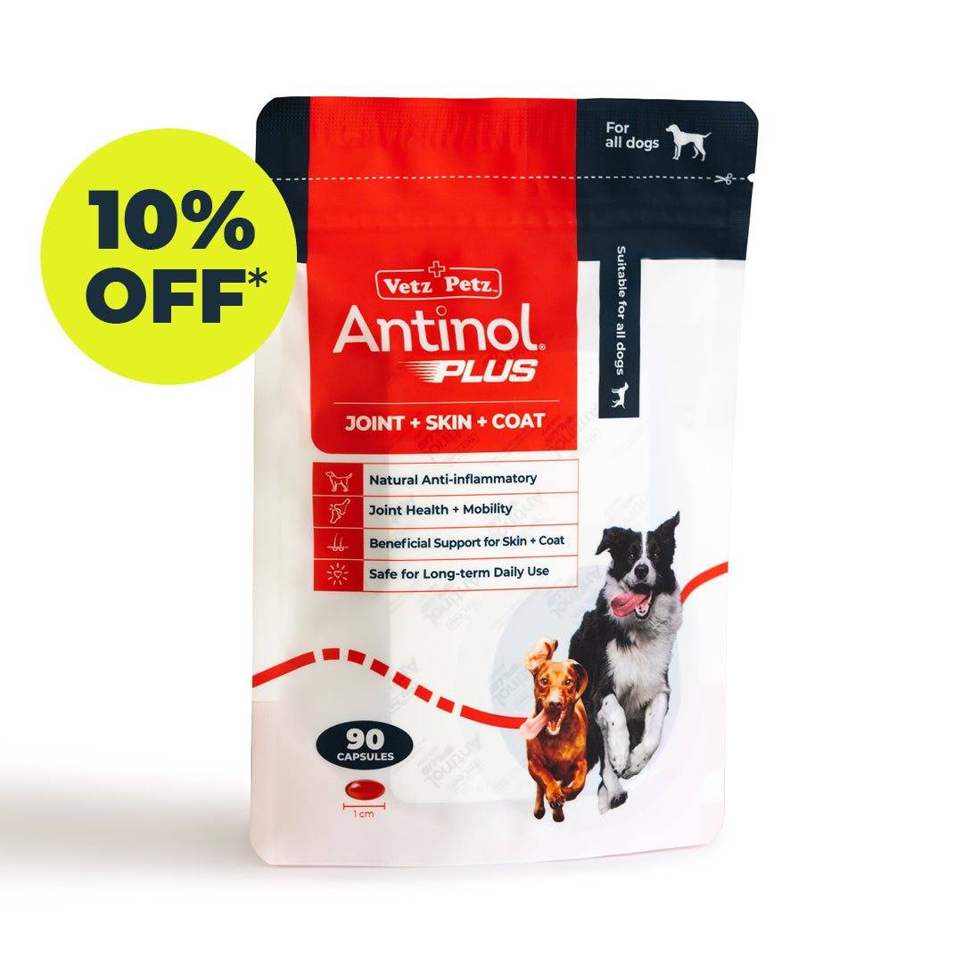 Antinol Plus for Dogs Antinol Australia