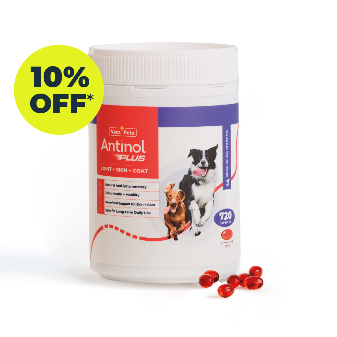 Antinol<sup>®</sup>️ Plus for Dogs - 10% off Subscription
