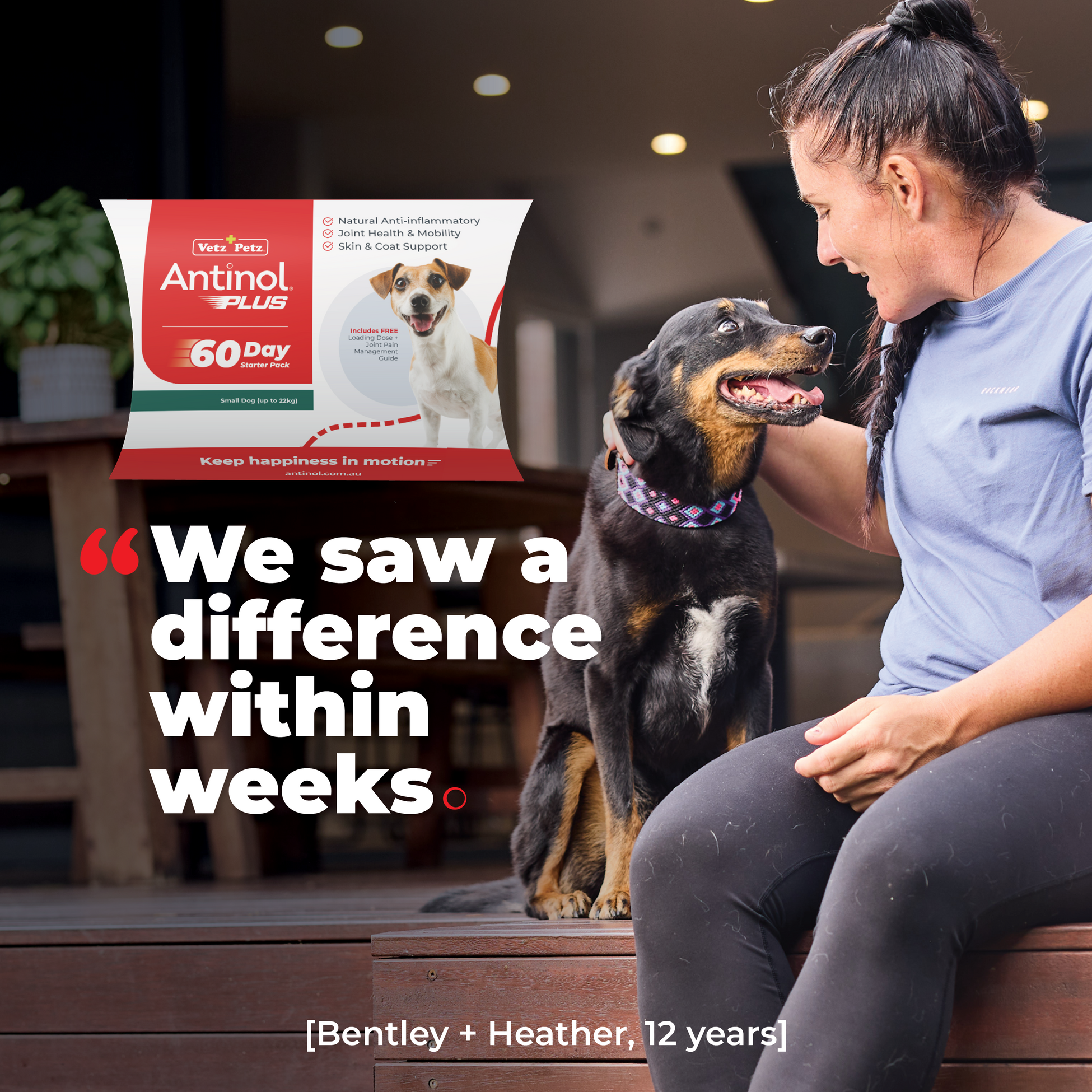 Antinol 60-day Starter Pack – Small Dog