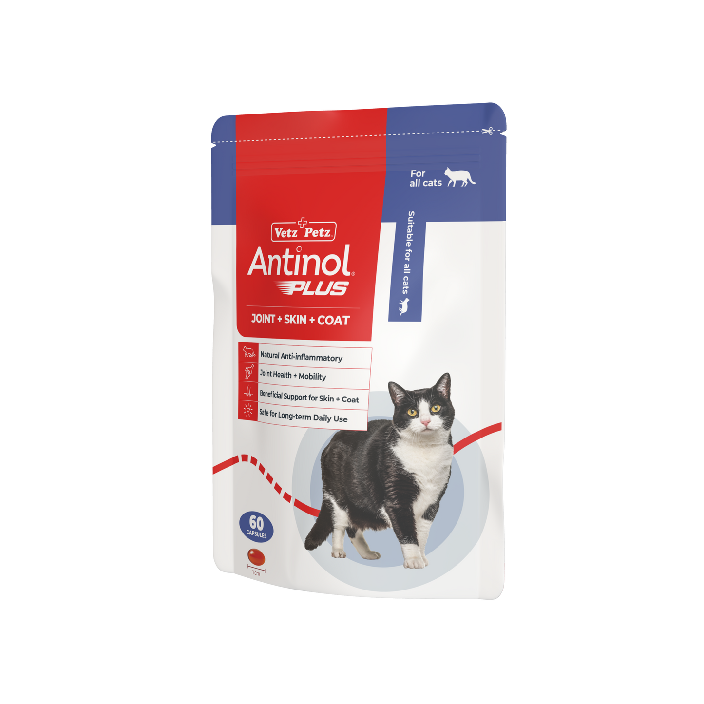 Anti inflammatories for cats hot sale