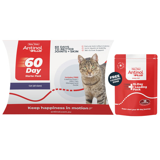 Antinol 60-day Starter Pack – Cat