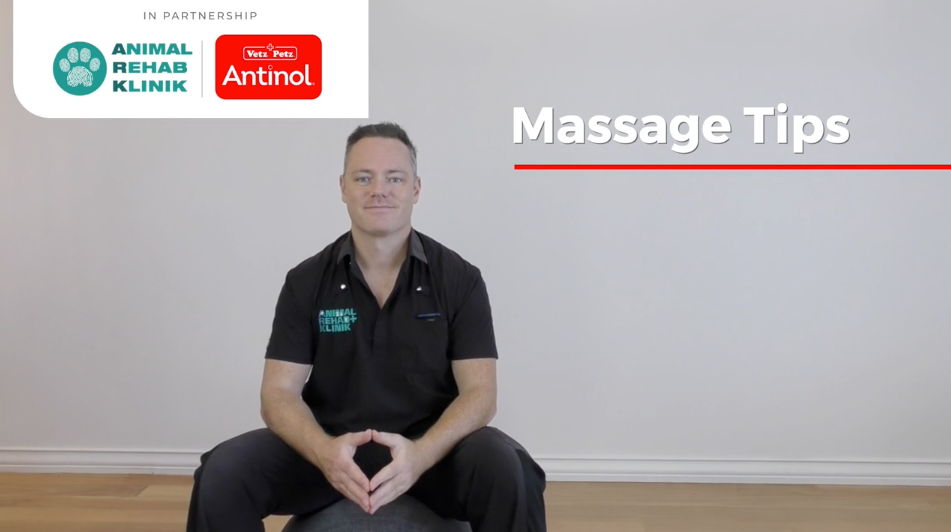 Load video: Massage Tips