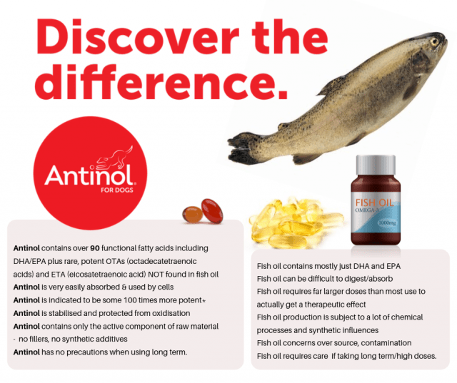 Antinol v Fish Oil for Dogs | Natural Anti Inflammatory